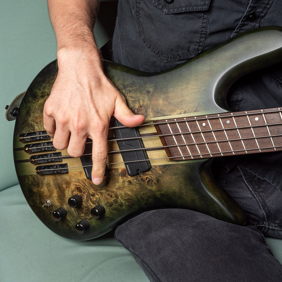 Spector Euro Series Bass (Back) 07.09.24 - Joe Soldati's Spector Bass-11.jpg__PID:fa33f9af-0393-4028-bd9d-cb30d2a4779a