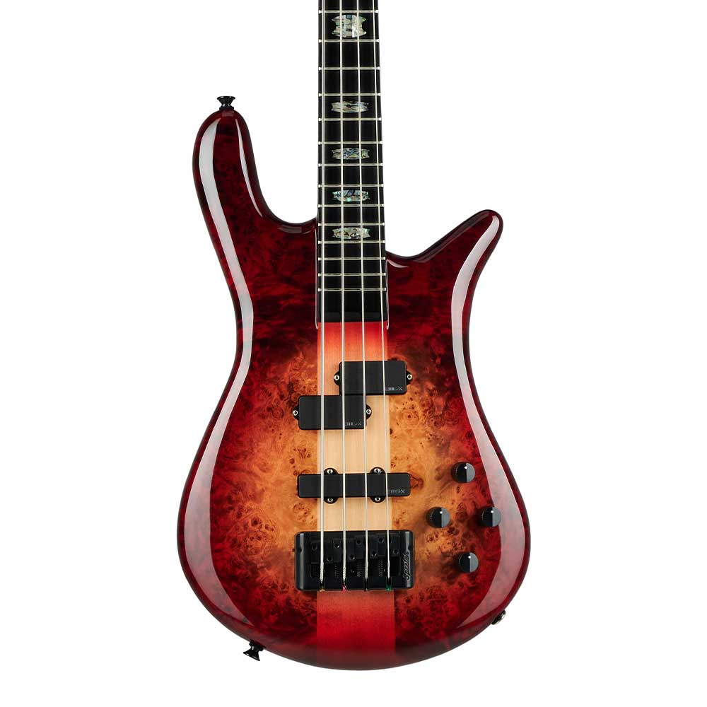 Spector Euro Series EuroSpector1.jpg__PID:fa159e5b-795c-4543-a71c-0c3b022a3e3d