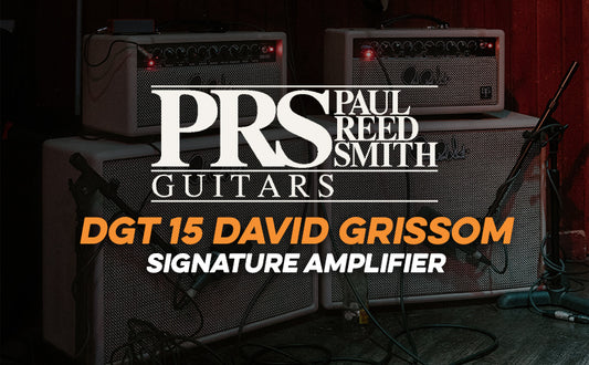 PRS | DGT 15 Amplifier Head & Cabinet